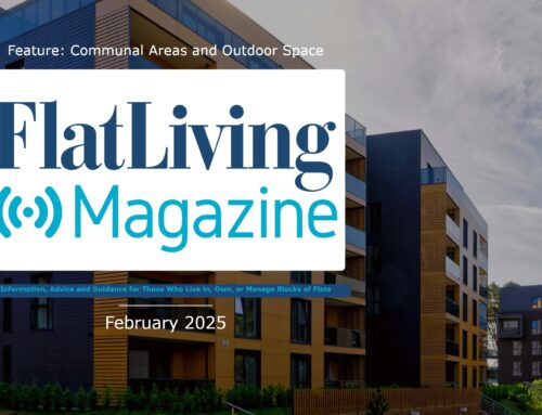 Flat Living Magazine Roundup – February 2025